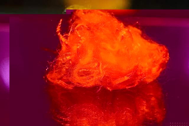 1683725415737680.jpeg 20220518135102_1224.jpeg